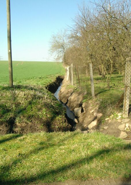Die Schrote nahe ihrer Quelle. In dem rechts zu sehenden Garten entspringt die Schrote. Diese Aufnahme stammt vom April 2005.