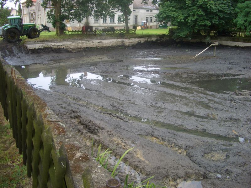 Abb. 4 - Der Teich nach der Entschlammung.